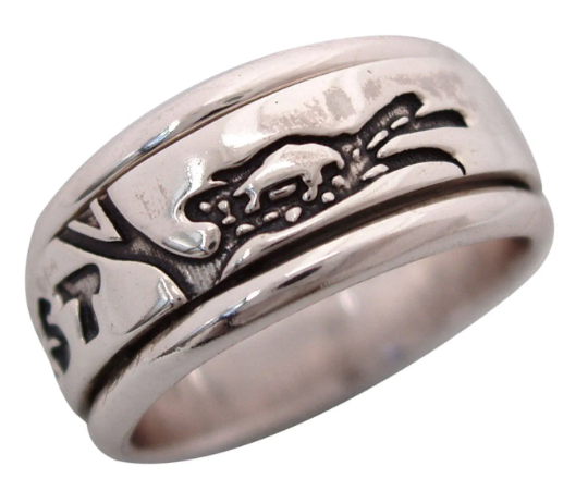 Limited Edition INTERNEST 925 Silver Meditation Spinner Ring For Internet Surfer